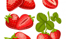 草莓漫画,甜蜜爱情与奇幻冒险的交织之旅