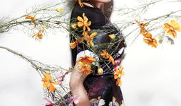 孙耀琦主演的电视剧,情感纠葛与命运抉择